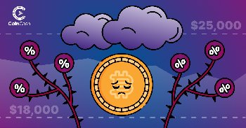 Bitcoin Hodler hírösszefoglaló - 24. hét